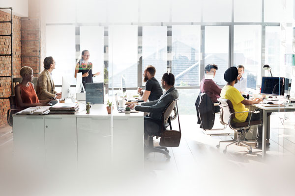 People Working in An Office